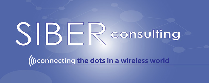 siber consulting